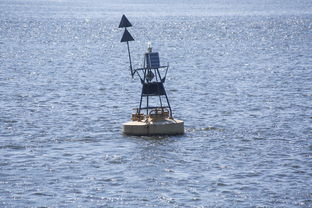 体育mk-中方蝶泳入水角度更锐利？图解数据分析，中国蝶泳厉害吗