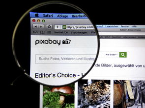 mk体育官网-体育新闻中心发布体育短视频传播效果白皮书，体育短视频成为平台和用户的新宠