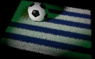 mk体育平台网页版入口-中国足球国家队备战世界杯预选赛全面展开，中国足球队 世界杯预选赛