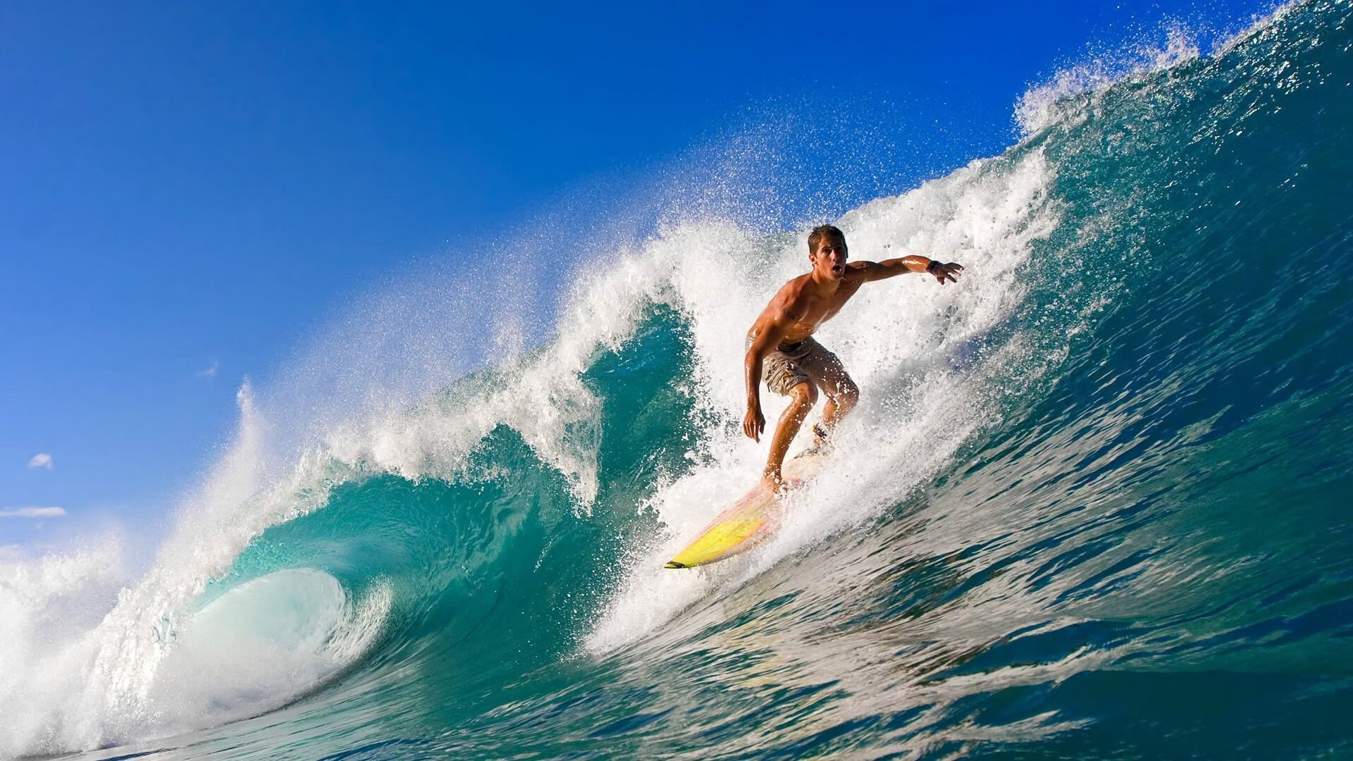 养老基金“八连盈”背后：监管与机制双重发力